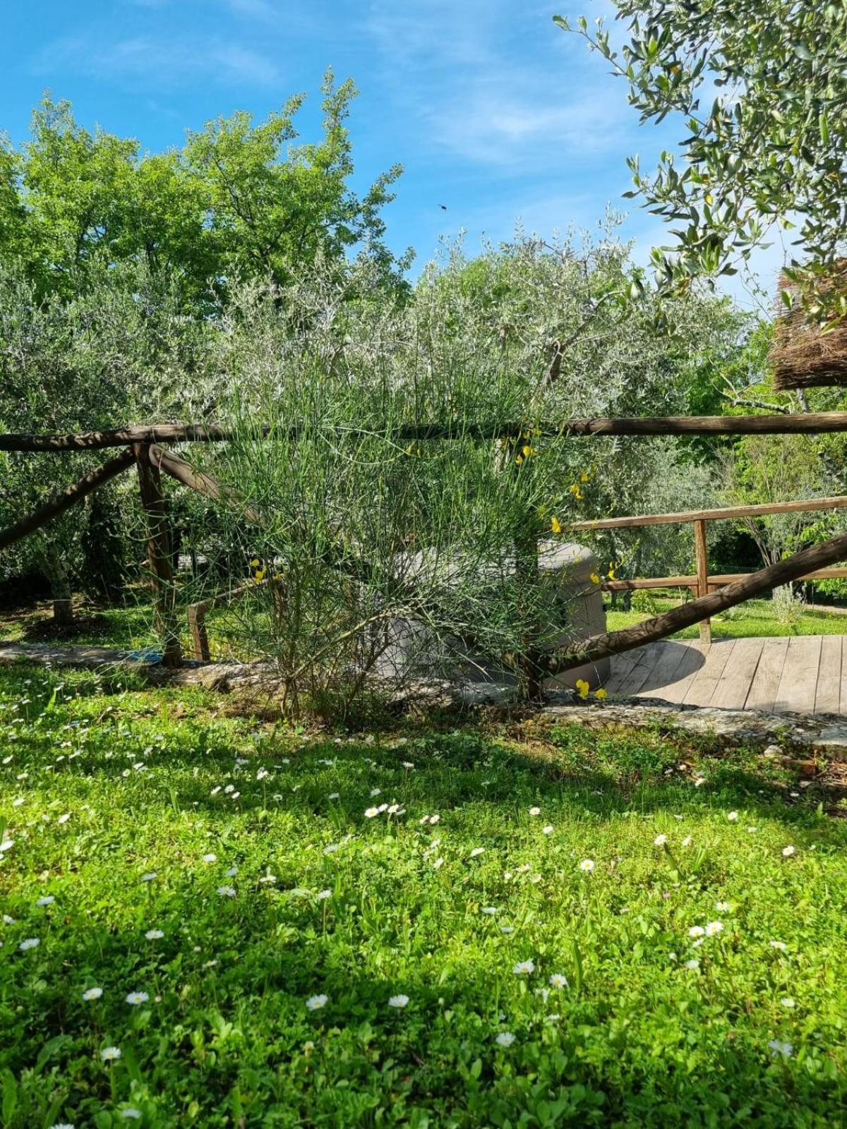 Dimora Nel Chianti Pensionat San Sano Eksteriør billede